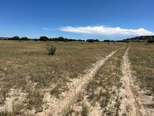 Lot 17 Long Horn Ranch, Model, CO 81059