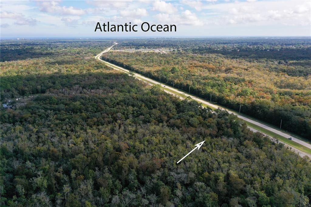 W Indian River Boulevard, Edgewater, FL 32132 Photo