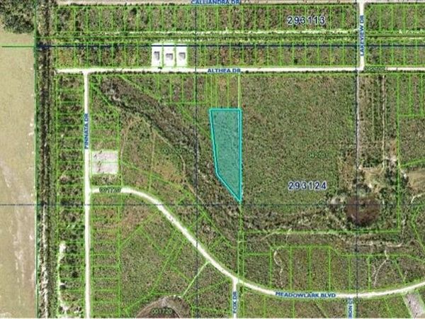 ALTHEA DRIVE, INDIAN LAKE ESTATES, FL 33855