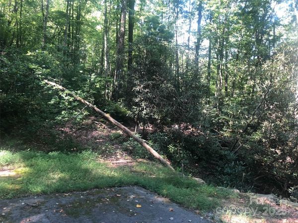 TBD Peppervine Circle, Rosman, NC 28772