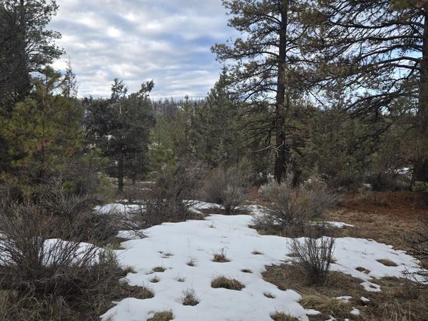 Jaguar Lane, Unit Lot 7 & 8, Bonanza, OR 97623