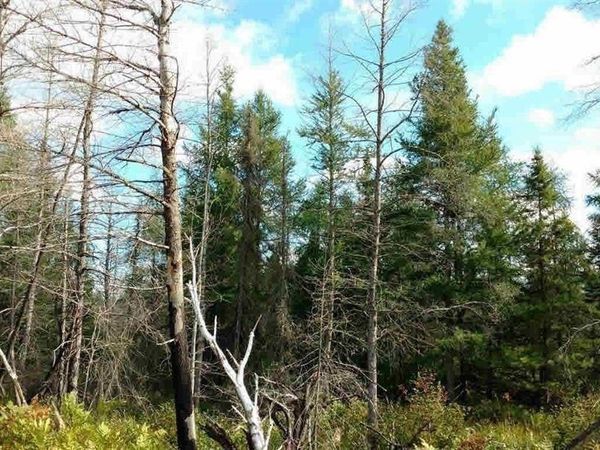 23305 DUCK LAKE Trail, Newberry Vlg, MI 49868