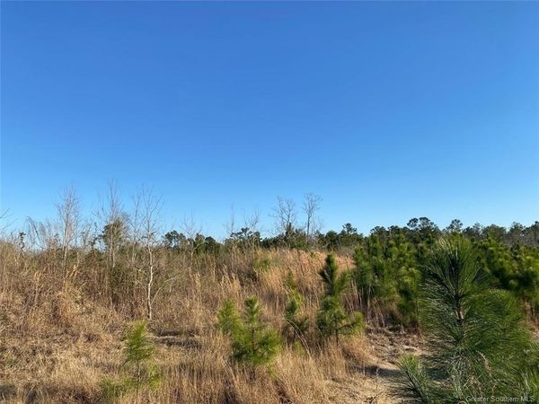 0 College Heights, Lake Charles, LA 70605