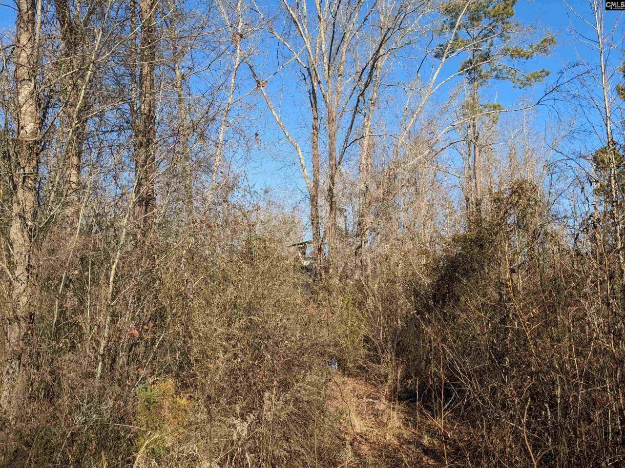 1135 Elkwood Lane Photo 9