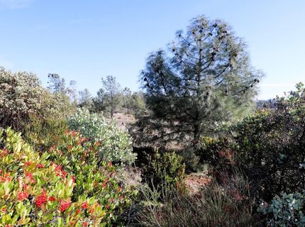Product Dr, Shingle Springs, CA 95682 Photo