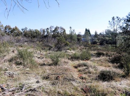Product Dr, Shingle Springs, CA 95682 Photo