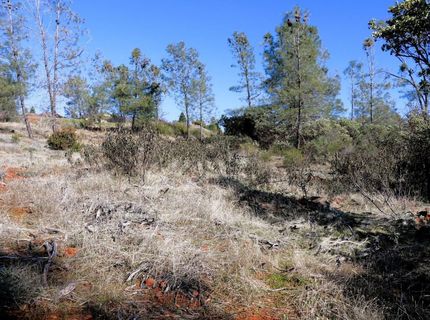 Product Dr, Shingle Springs, CA 95682 Photo