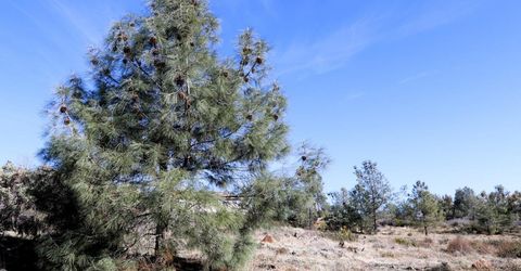 Product Dr, Shingle Springs, CA 95682 Photo