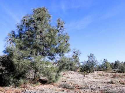 Product Dr, Shingle Springs, CA 95682 Photo