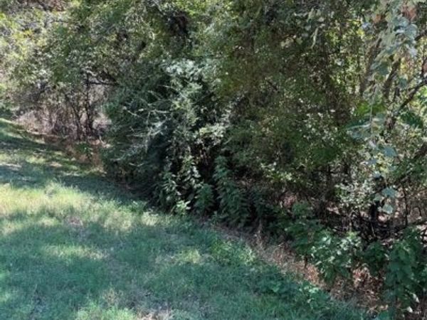 15037 Golf Drive, Whitney, TX 76692