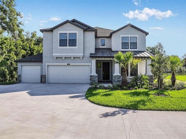 18437 PURPLE CREEK LANE, LUTZ, FL 33549