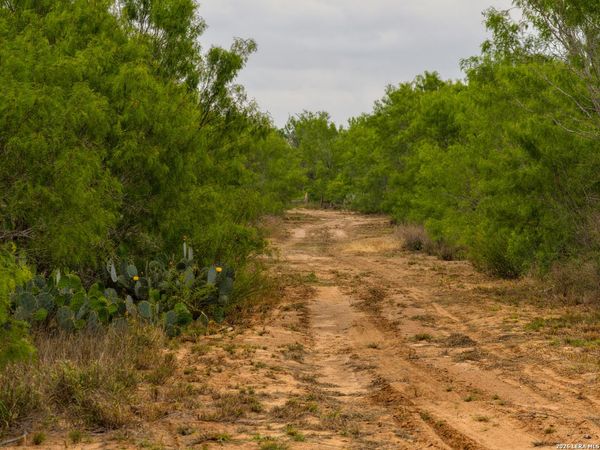 6 FM 1581, Pearsall, TX 78061