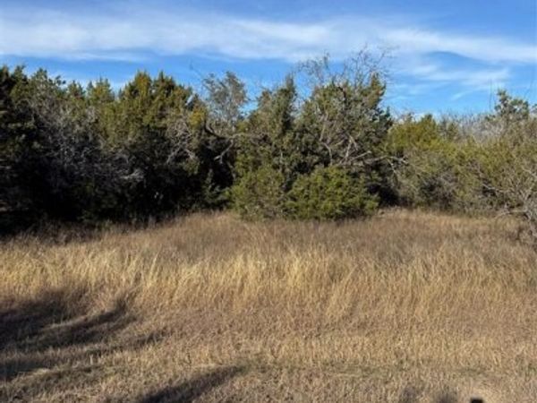 44125 Cedar Hill Drive, Whitney, TX 76692