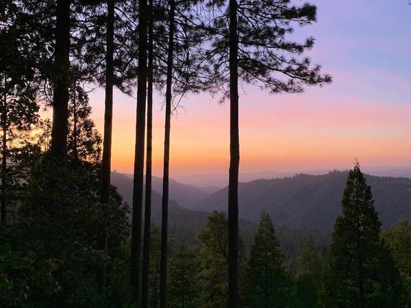 19932 Middle Camp Sugar Pine Road, Mi Wuk Village, CA 95346