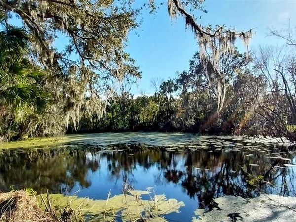 11105 WINN ROAD, RIVERVIEW, FL 33569