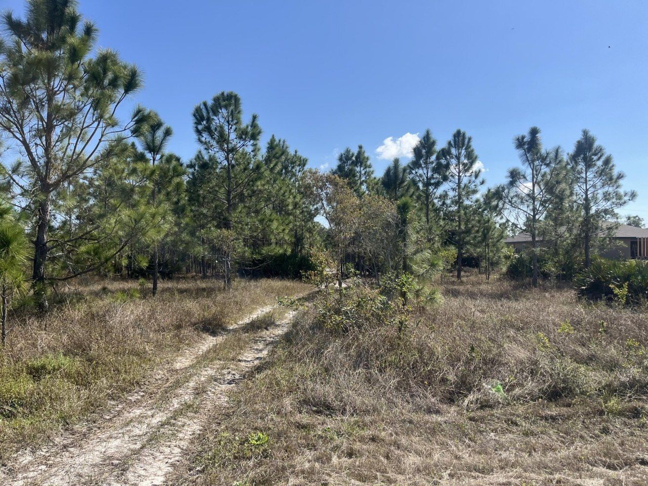 1247 Brunell Avenue, Fort Myers, FL 33913 Photo
