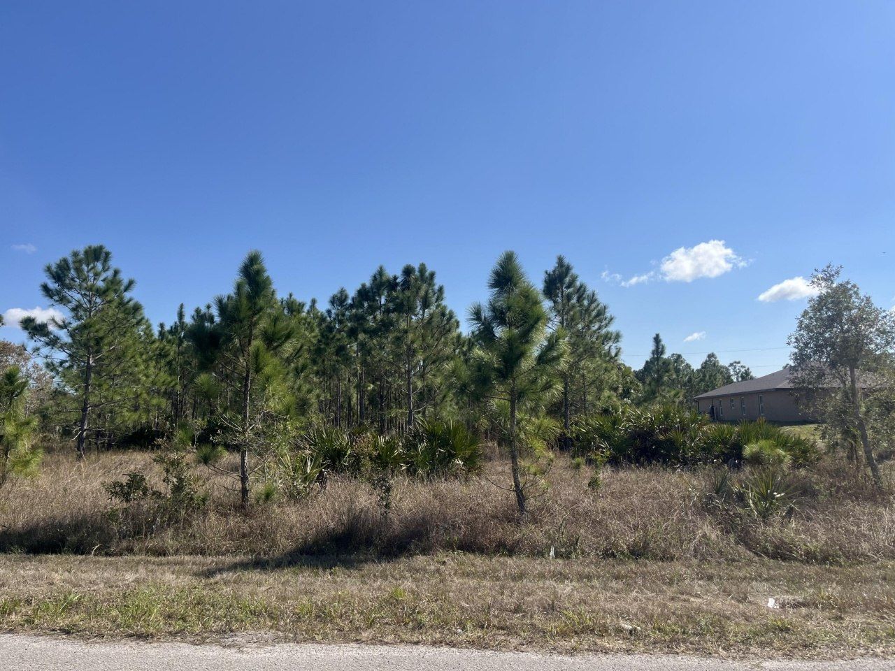 1247 Brunell Avenue, Fort Myers, FL 33913 Photo