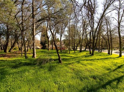 1 Linhurst Ct, El Dorado Hills, CA 95762 Photo