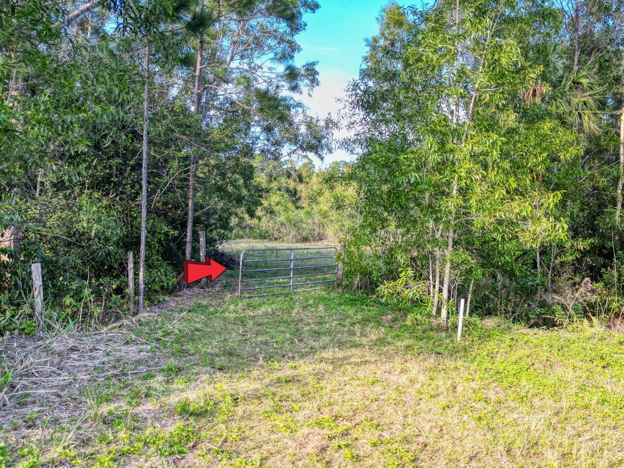 9205 Patricia Lane, Jupiter, FL 33478 Photo