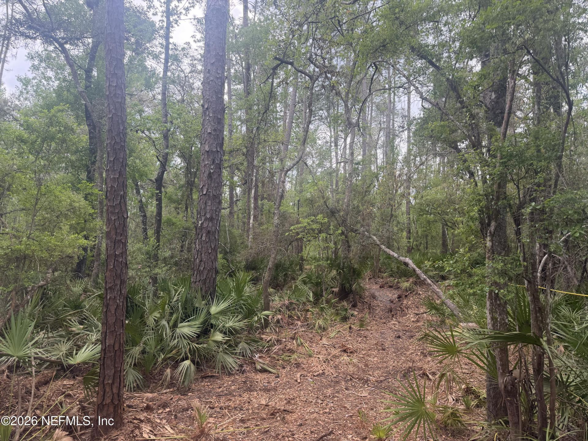 0 SE 67th Place, White Springs, FL 32096 Photo