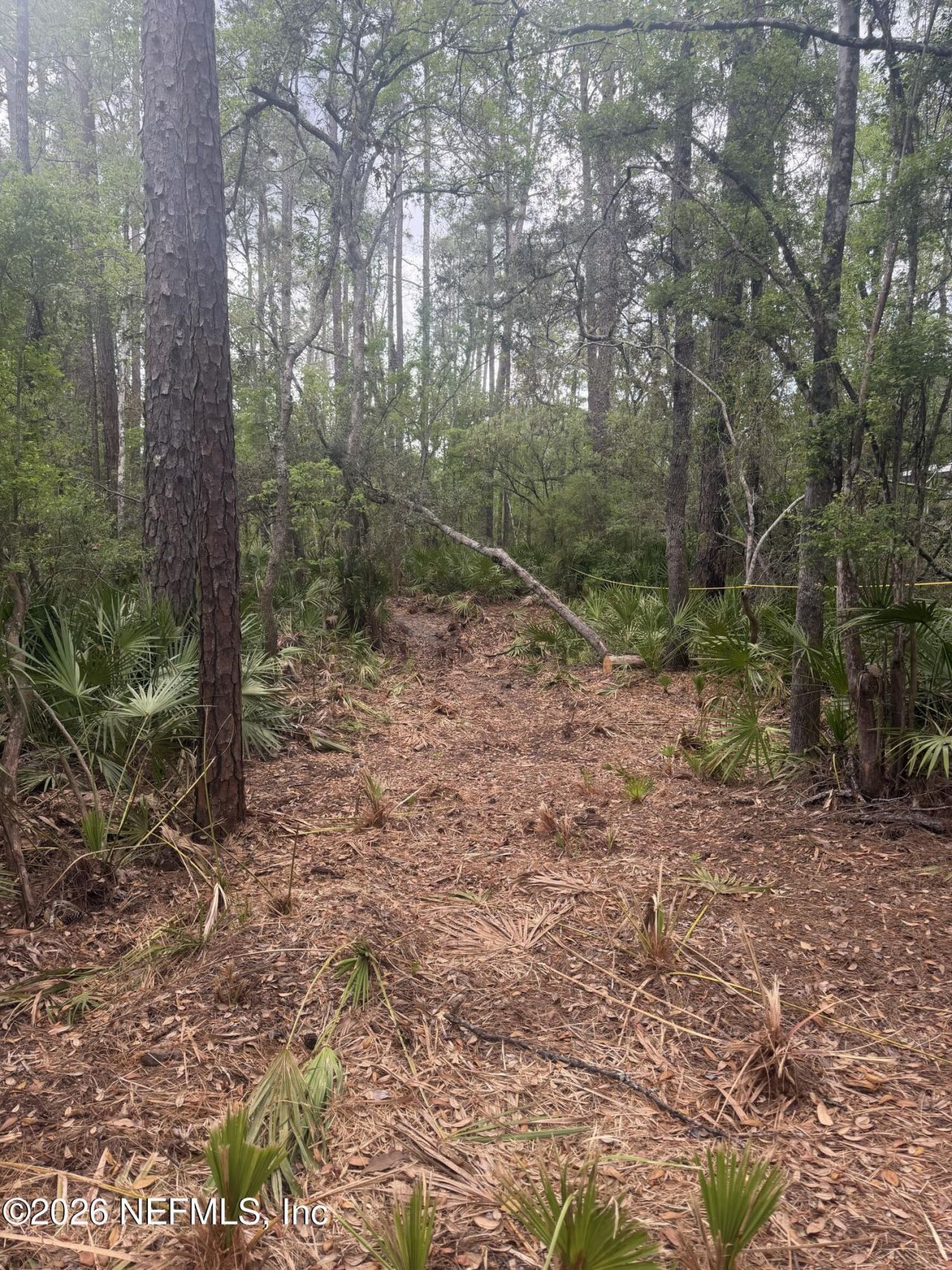 0 SE 67th Place, White Springs, FL 32096 Photo