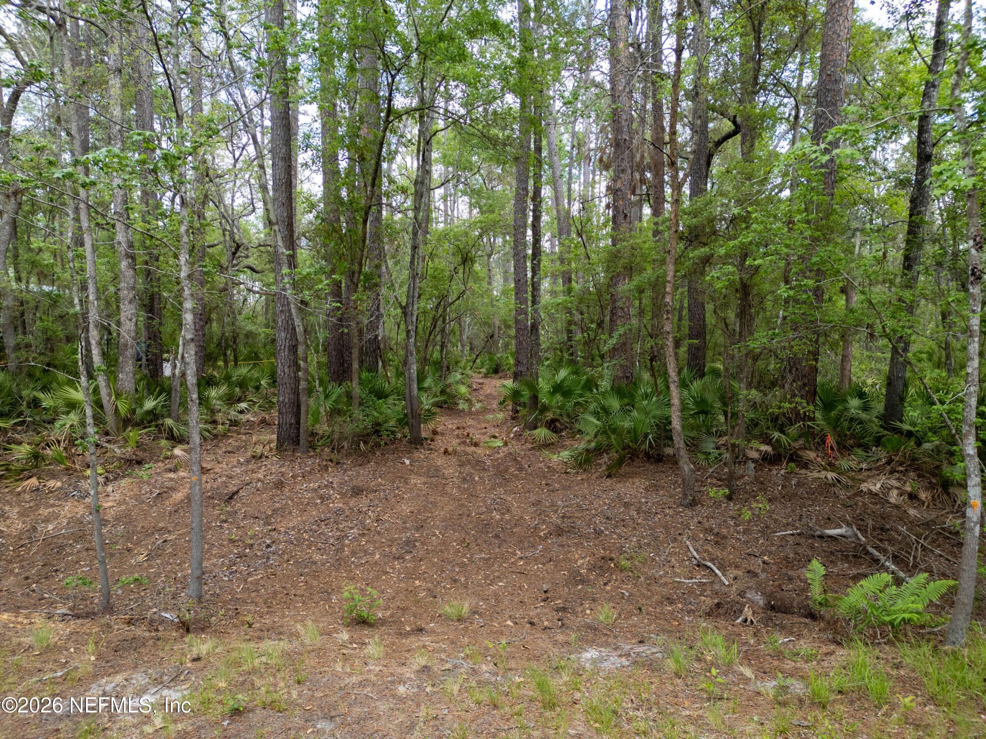 0 SE 67th Place, White Springs, FL 32096 Photo