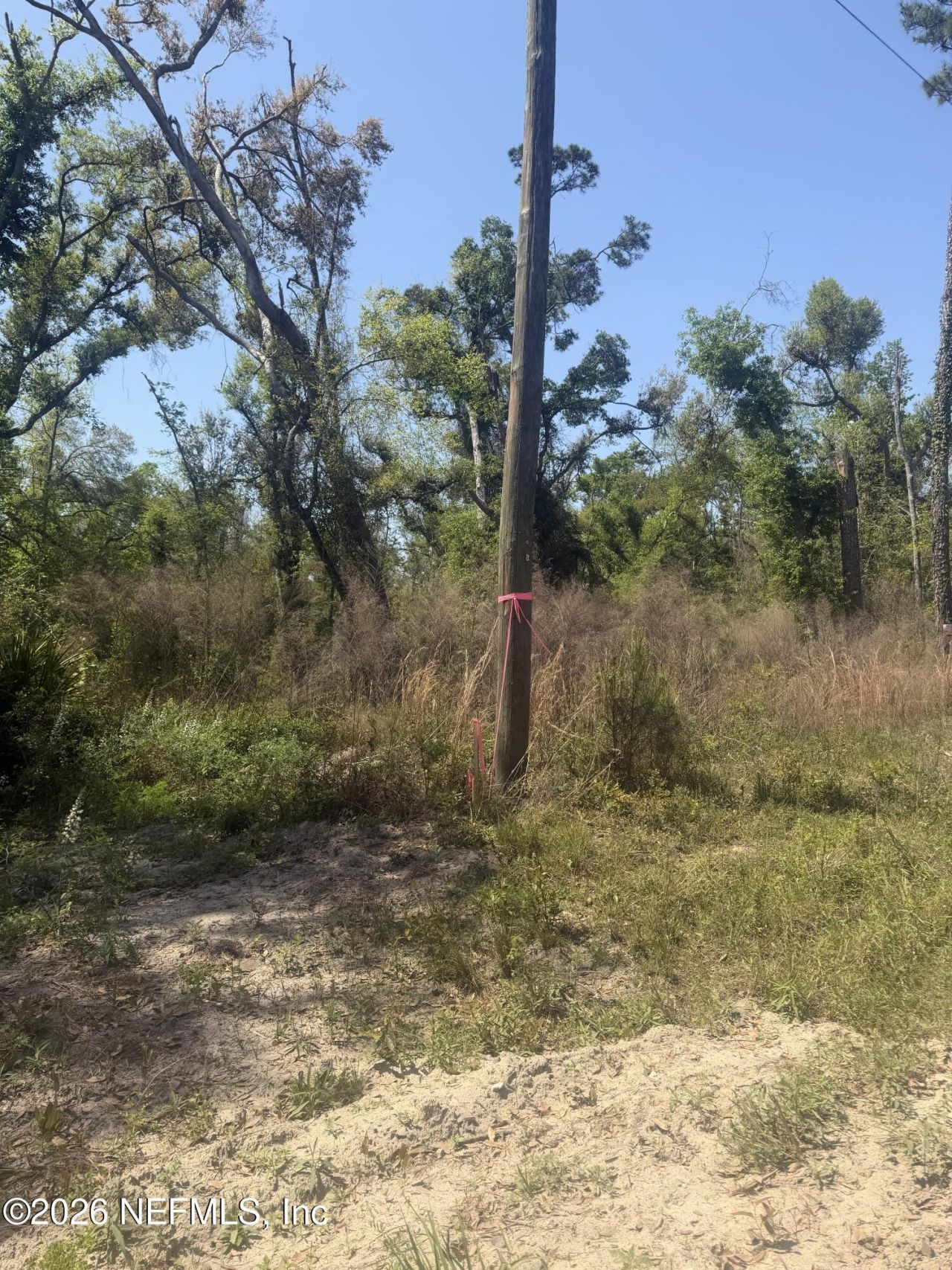 0 SW 77th Terrace, Jasper, FL 32052 Photo