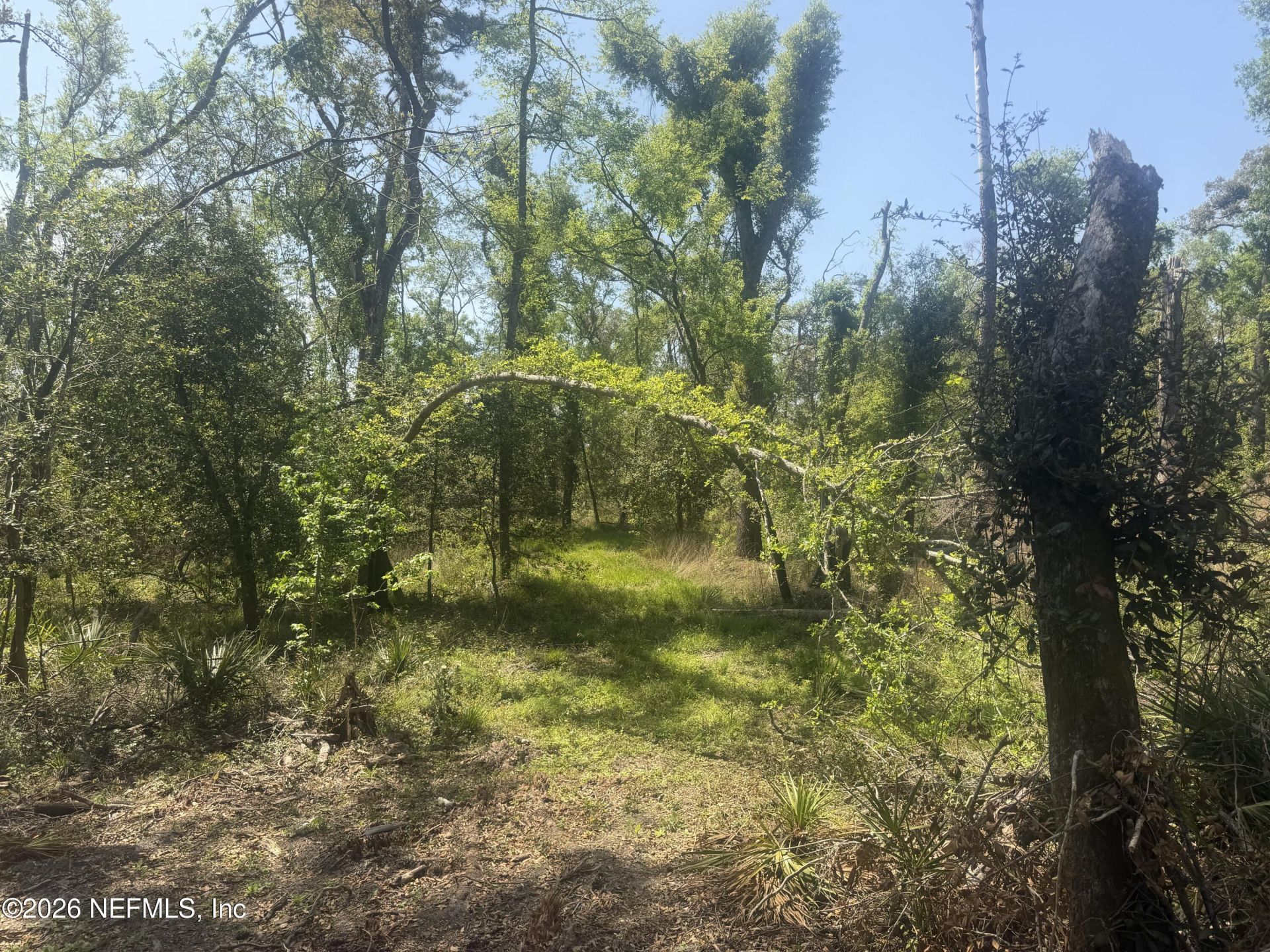 0 SW 77th Terrace, Jasper, FL 32052 Photo