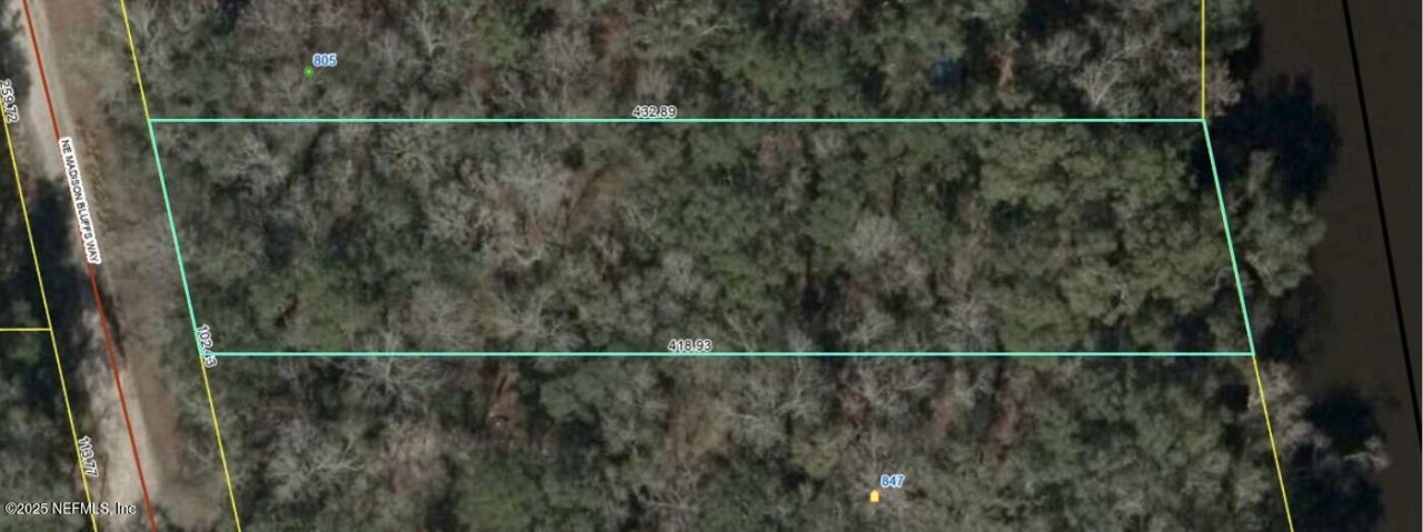 Lot 4 NE Madison Bluffs Way, Lee, FL 32059 Photo
