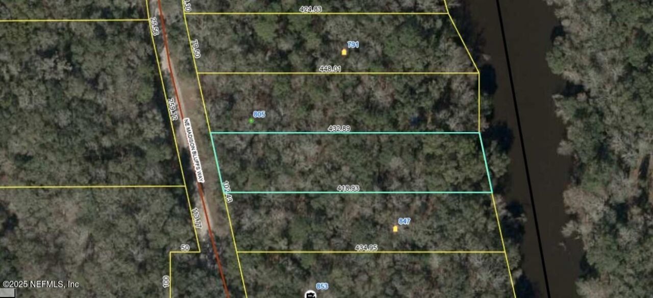 Lot 4 NE Madison Bluffs Way, Lee, FL 32059 Photo