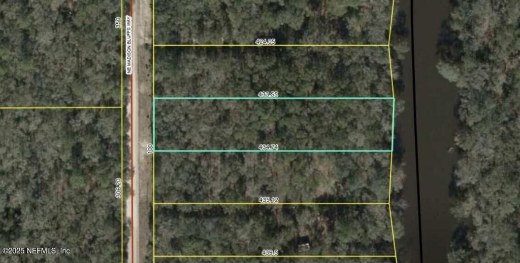 Lot 12 NE Madison Bluffs Way, Lee, FL 32059 Photo