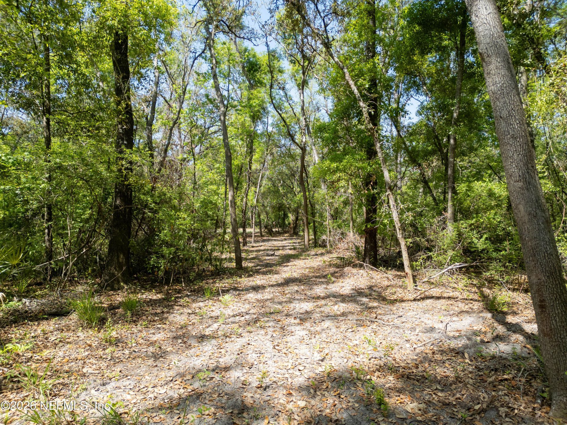 Lot 12 NE Madison Bluffs Way, Lee, FL 32059 Photo