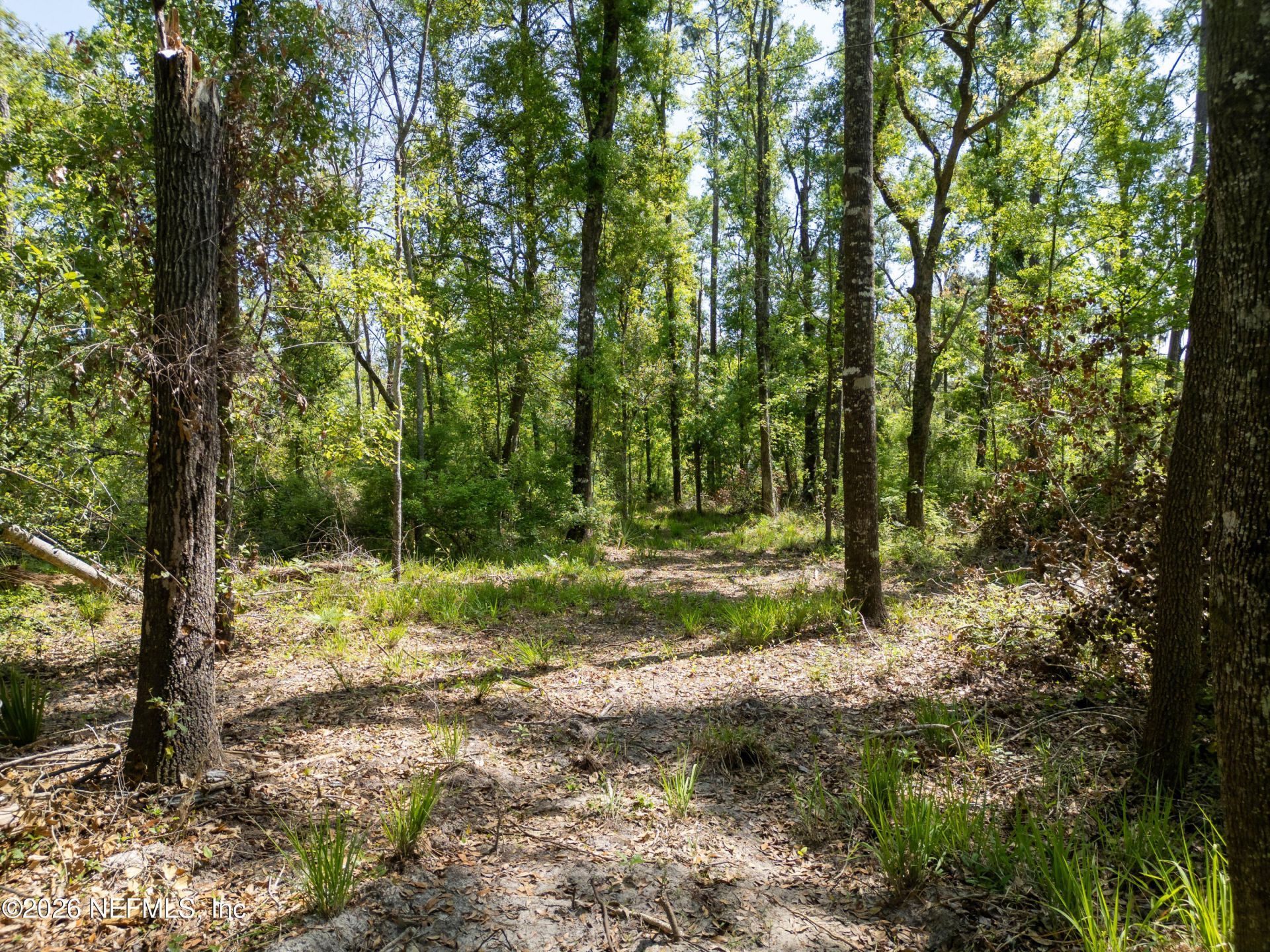 Lot 12 NE Madison Bluffs Way, Lee, FL 32059 Photo