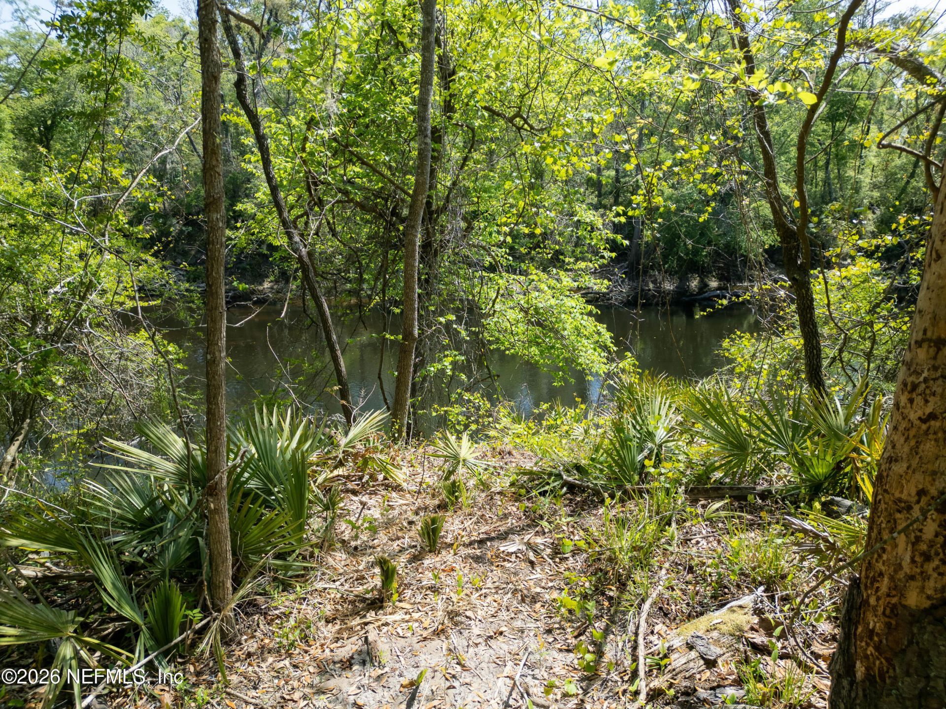 Lot 12 NE Madison Bluffs Way, Lee, FL 32059 Photo