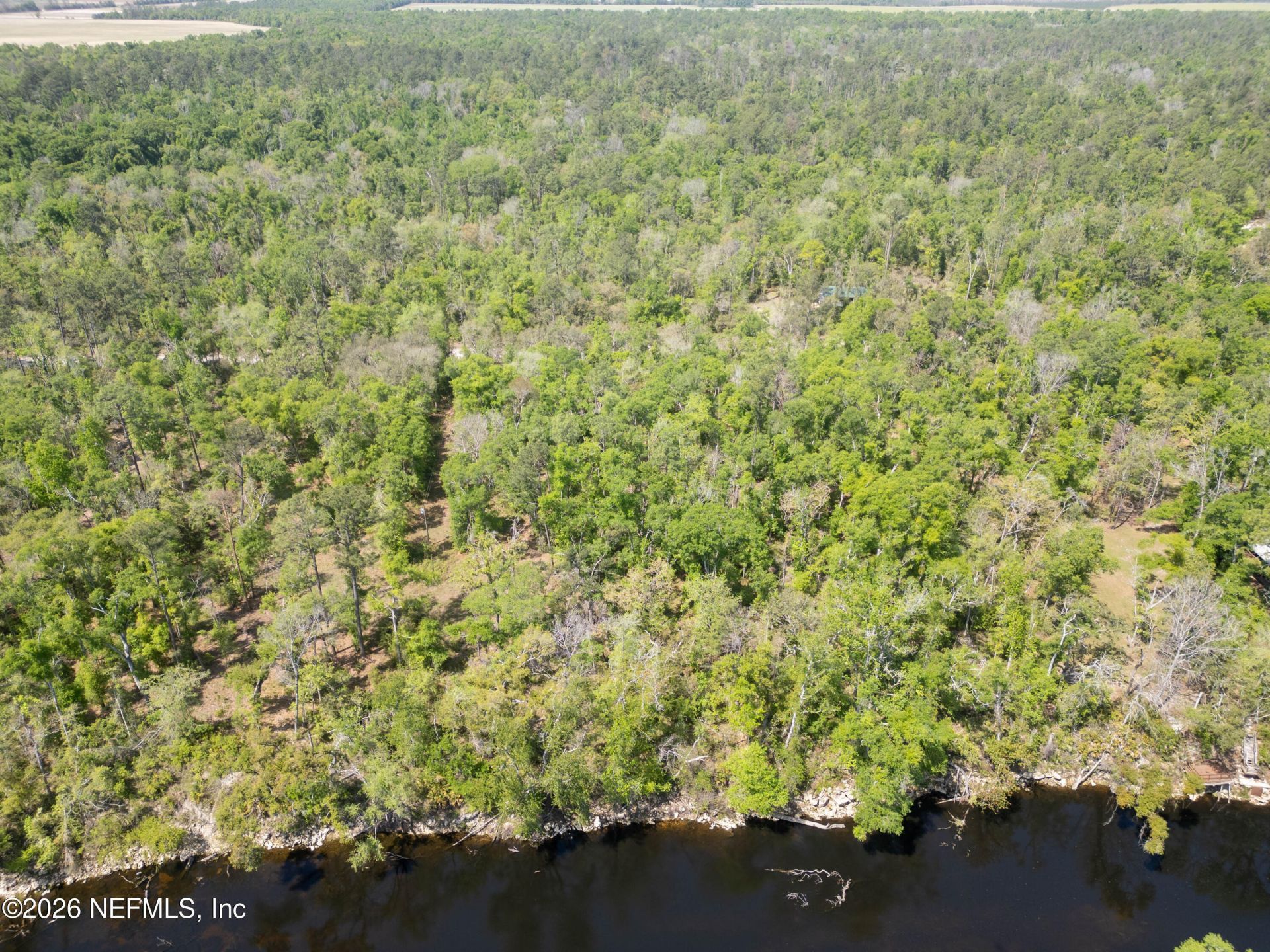 Lot 12 NE Madison Bluffs Way, Lee, FL 32059 Photo