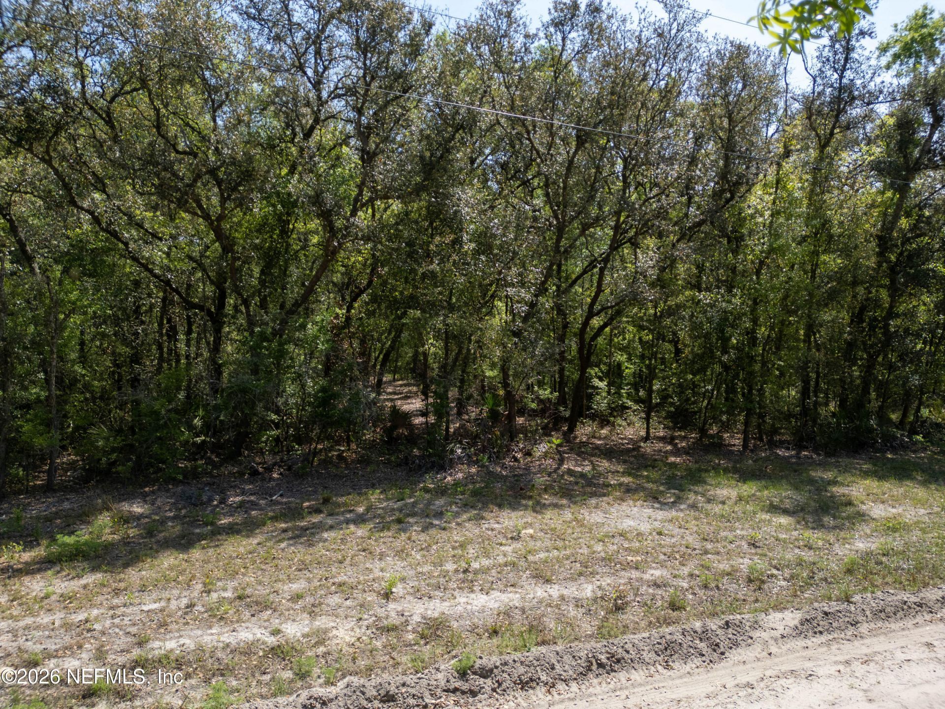 Lot 12 NE Madison Bluffs Way, Lee, FL 32059 Photo