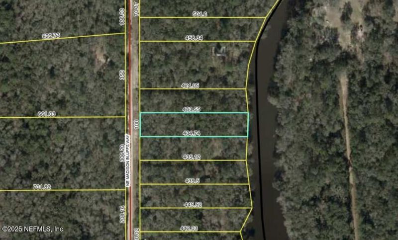Lot 12 NE Madison Bluffs Way, Lee, FL 32059 Photo