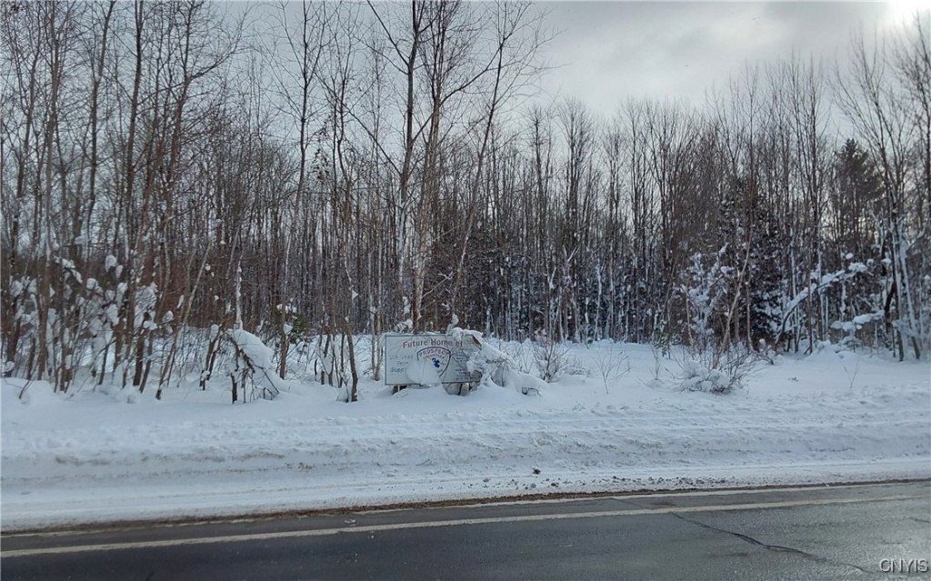 Nys Rt 365, Barneveld, NY 13438 Main Photo