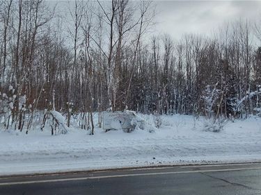 NYS Rt 365, Barneveld, NY 13438