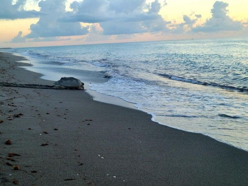 0000 SE Federal Highway, Jupiter, FL 33469 Photo