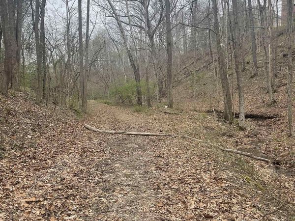 4891 Spring Road, Huntington, WV 25705