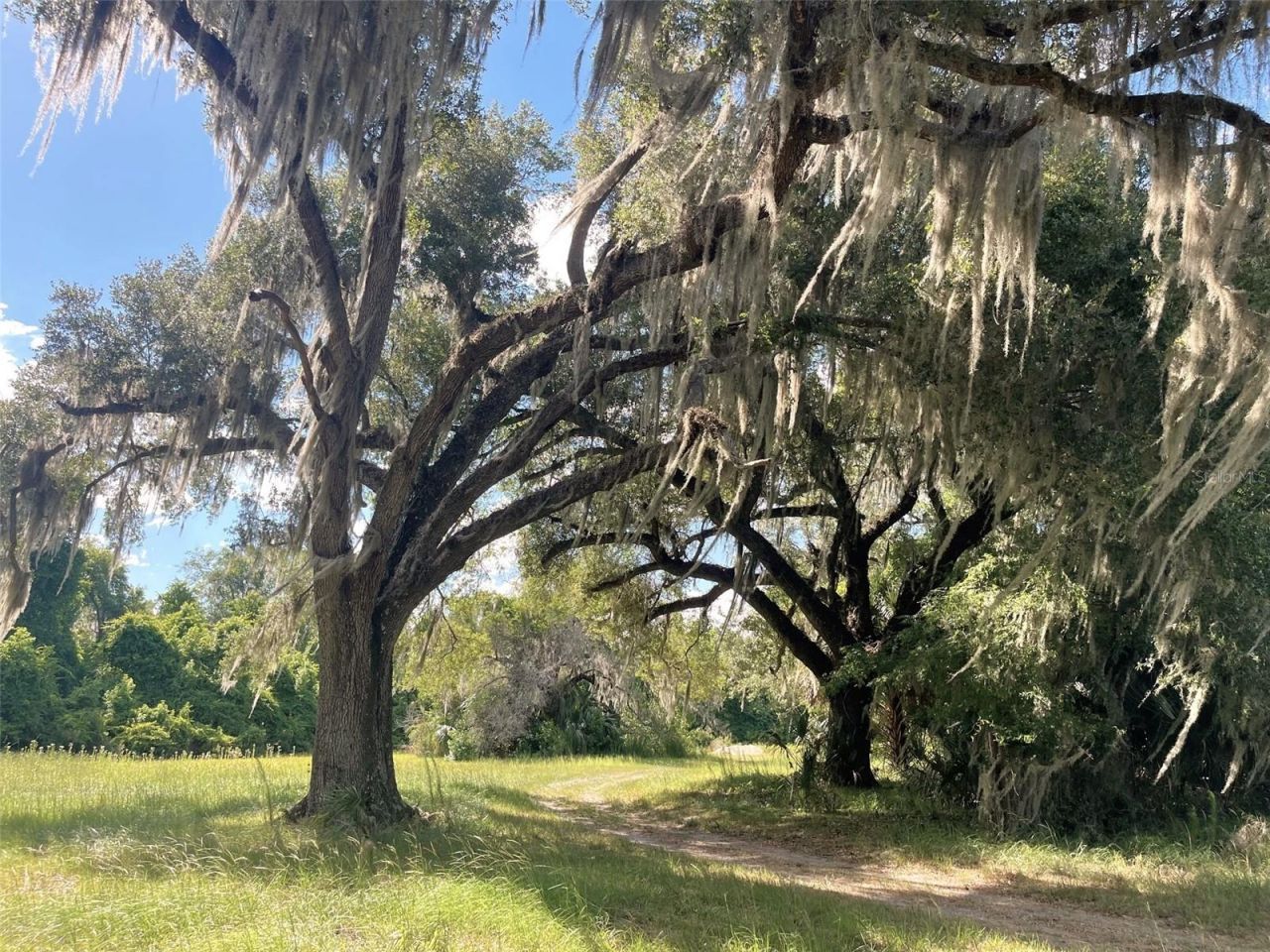 11810 SE County Road 234, Micanopy, FL 32667 Photo