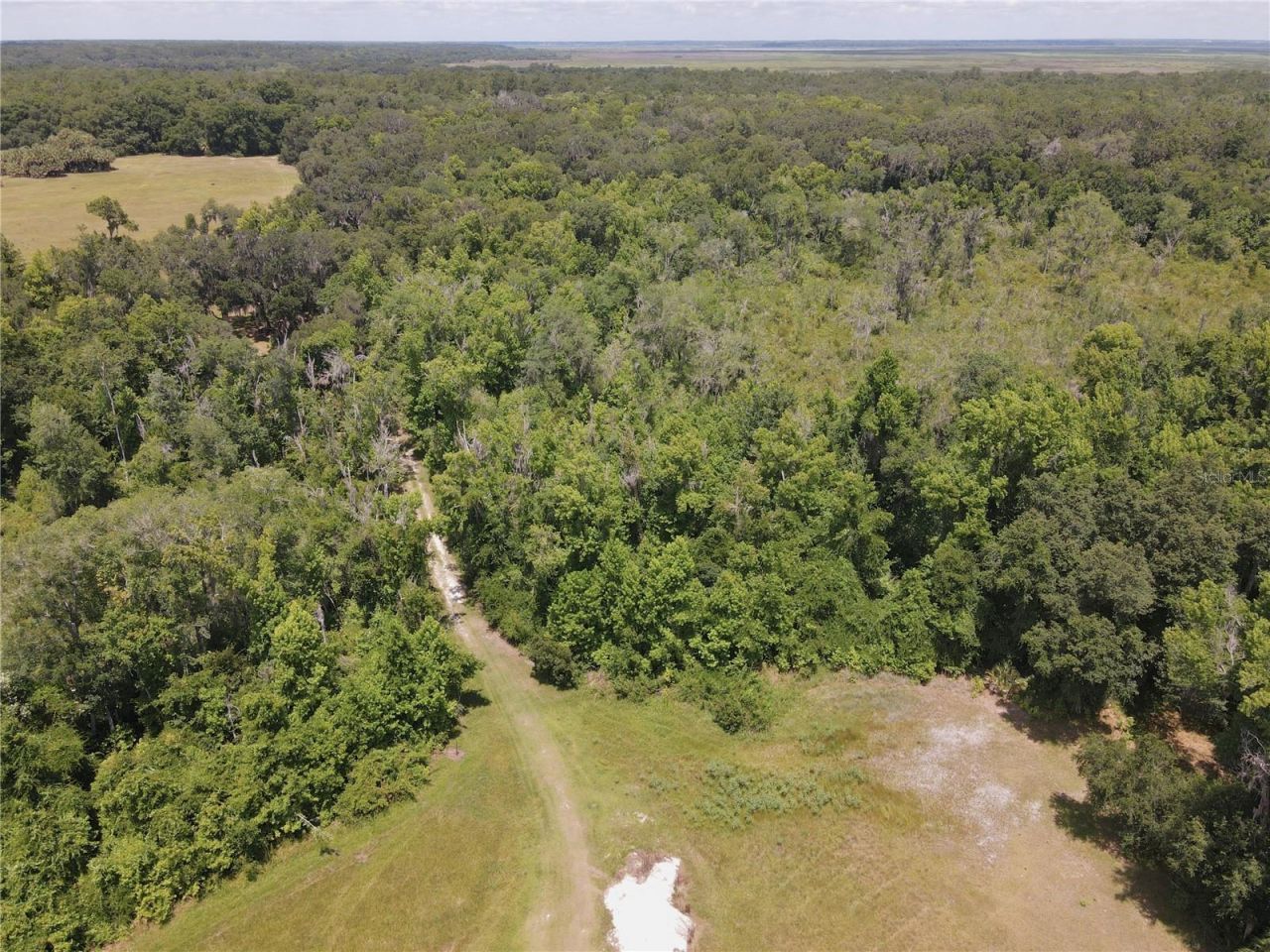 11810 SE County Road 234, Micanopy, FL 32667 Photo