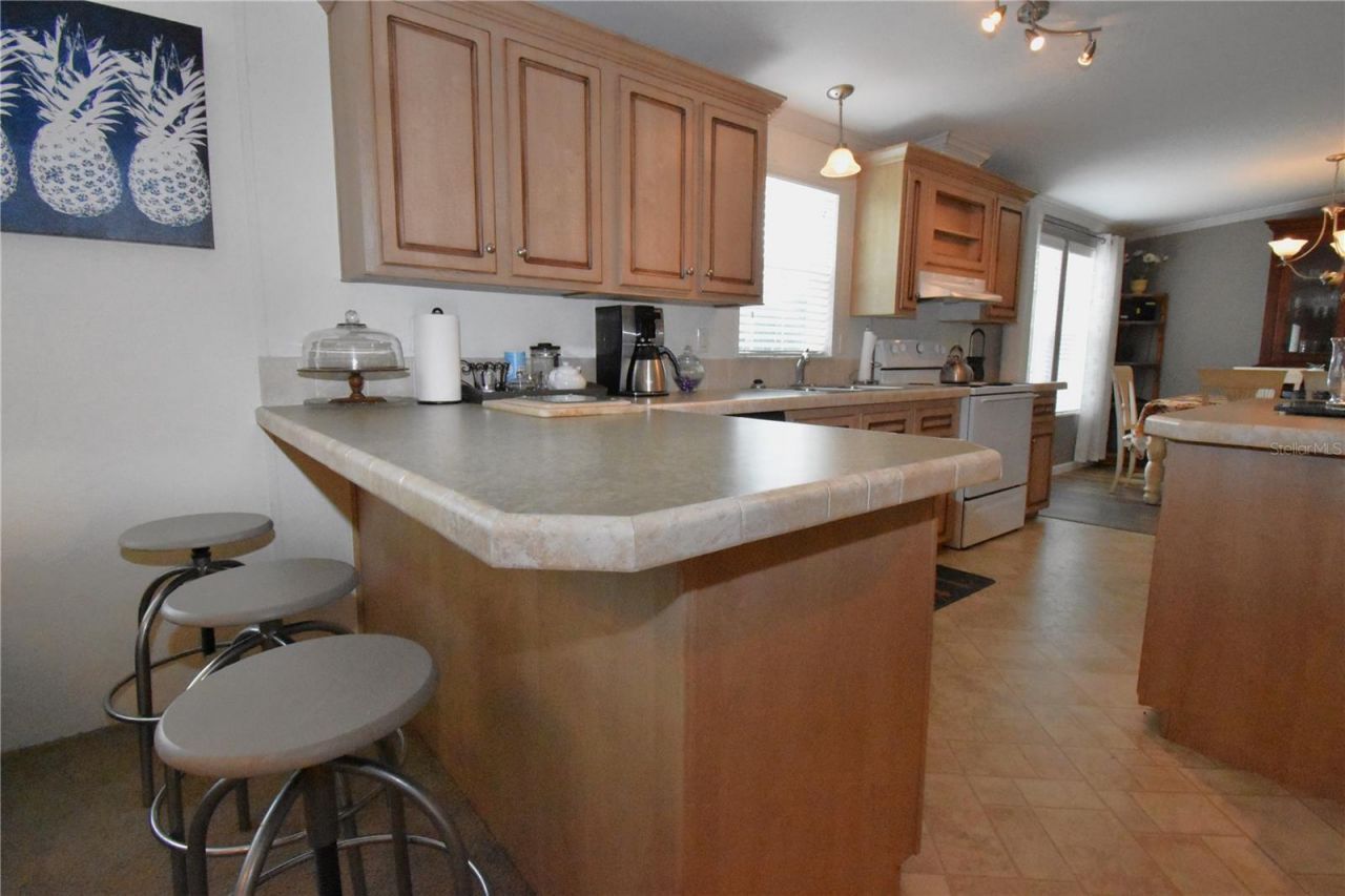 11810 SE County Road 234, Micanopy, FL 32667 Photo