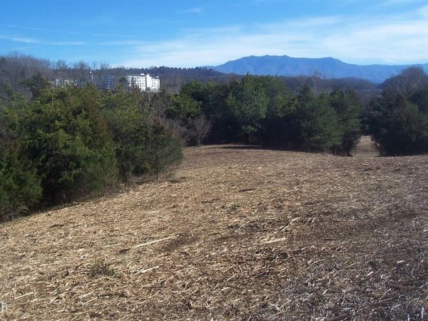 Tr 4 Veterans Blvd Boulevard, Pigeon Forge, TN 37863