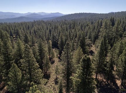 15375 Kent Drive, Truckee, CA 96161 Photo