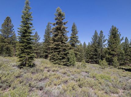 15375 Kent Drive, Truckee, CA 96161 Photo