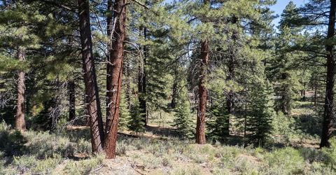 15375 Kent Drive, Truckee, CA 96161 Photo