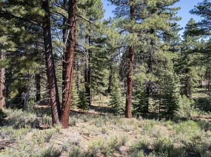 15375 Kent Drive, Truckee, CA 96161 Photo