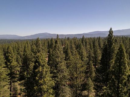 15375 Kent Drive, Truckee, CA 96161 Photo